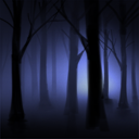 Night Reign
